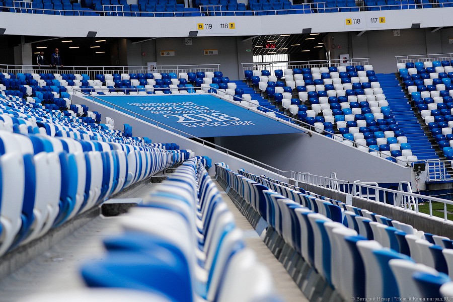 _NEV2661.jpg _NEV2661.jpg