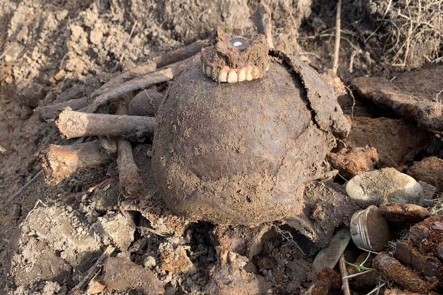 photo_2023-03-24_12-05-50 (1).jpg