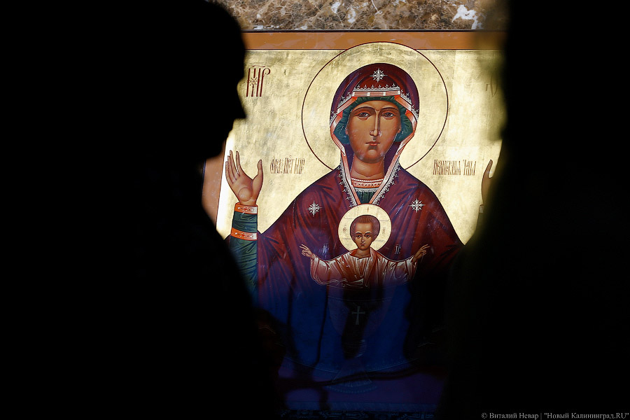 _NEV4281.jpg _NEV4281.jpg