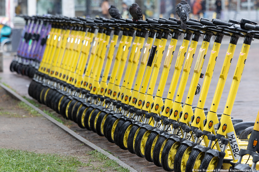 2025.05 самокаты 07.JPG