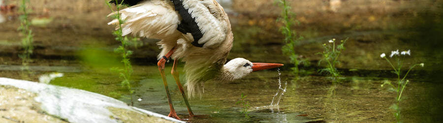 photo_2024-06-24_20-33-24 (1).jpg photo_2024-06-24_20-33-24 (1).jpg