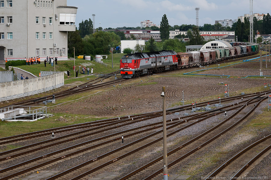 _NVR5950.jpg _NVR5950.jpg