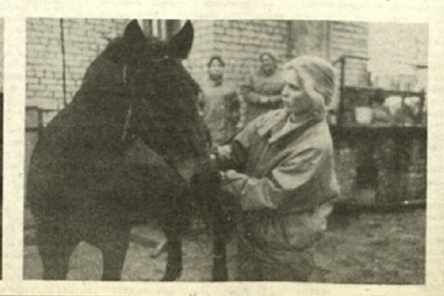 Фермеры -2.png