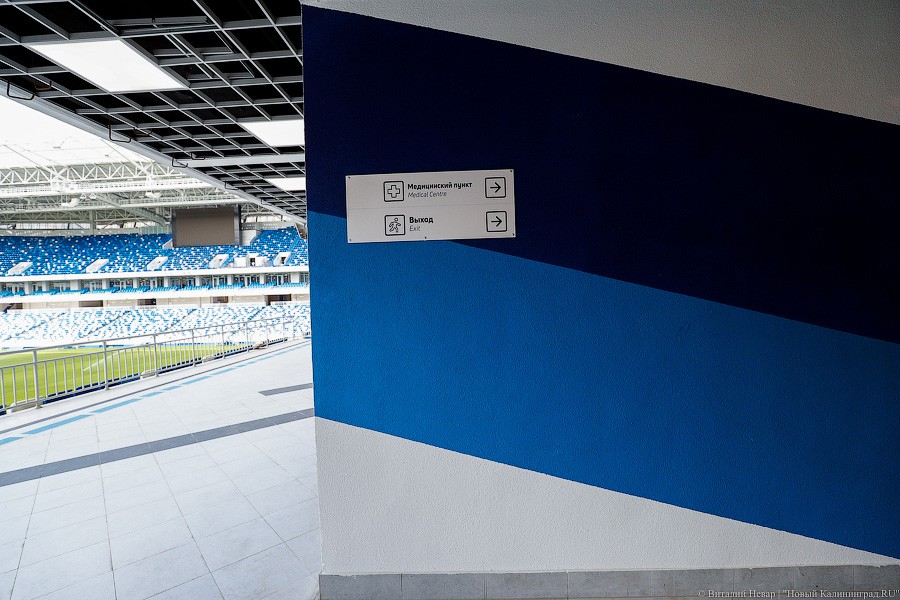 _NEV2648.jpg _NEV2648.jpg