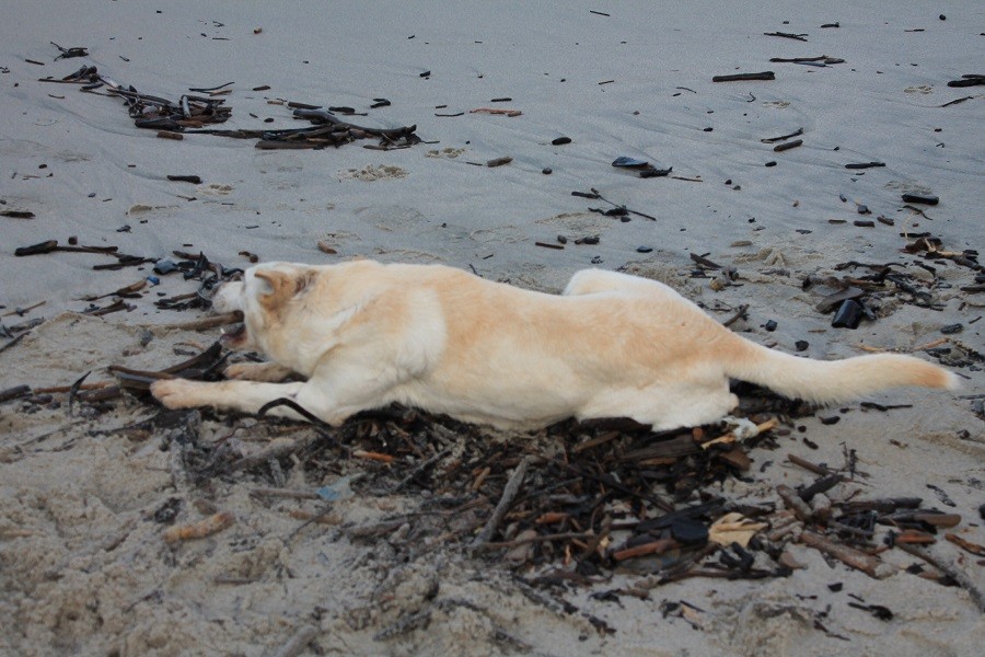 2015-11-13 14-10-50.JPG