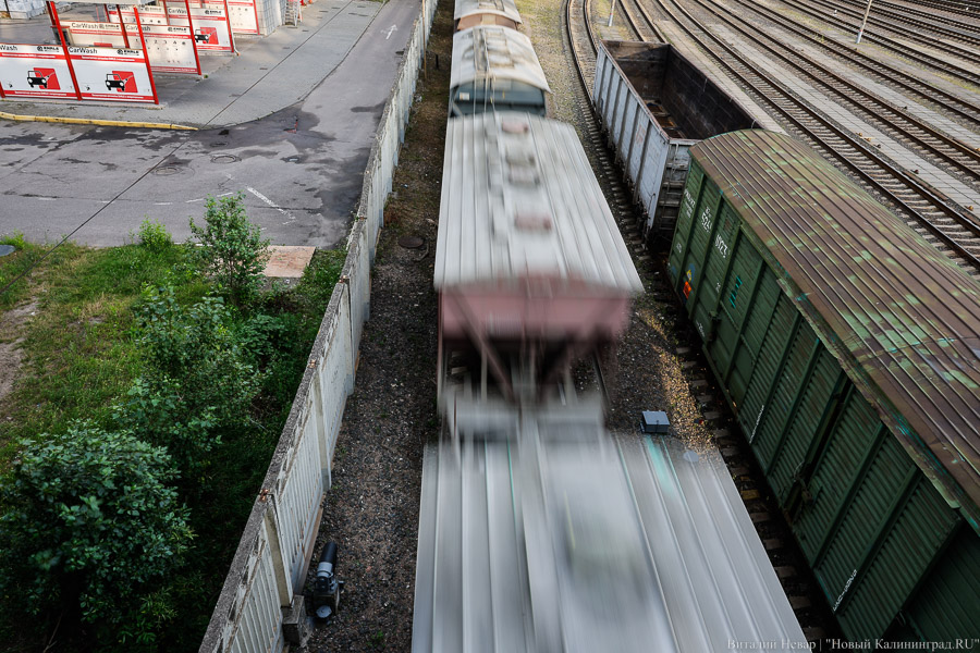 _NVR6057.jpg _NVR6057.jpg