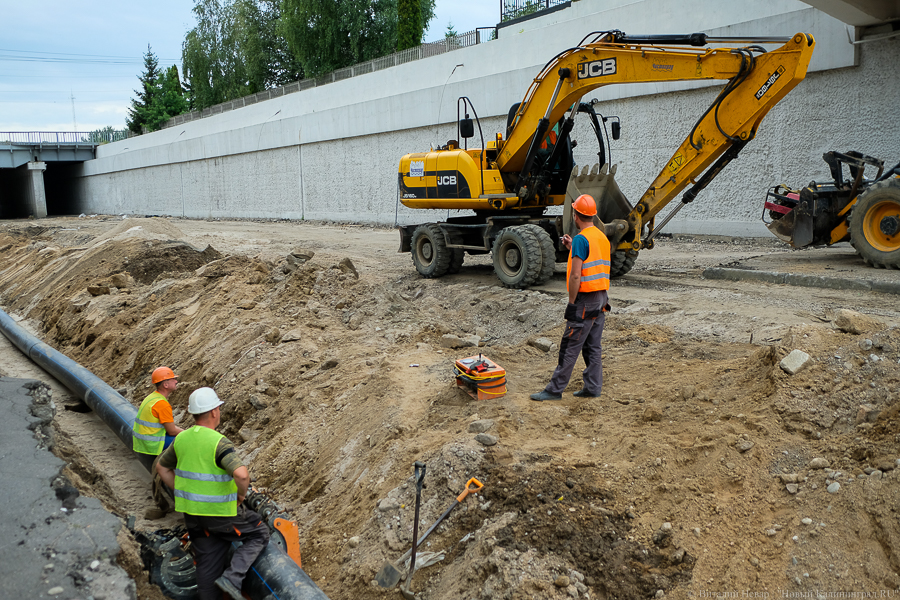 0NVV9563.jpg 0NVV9563.jpg