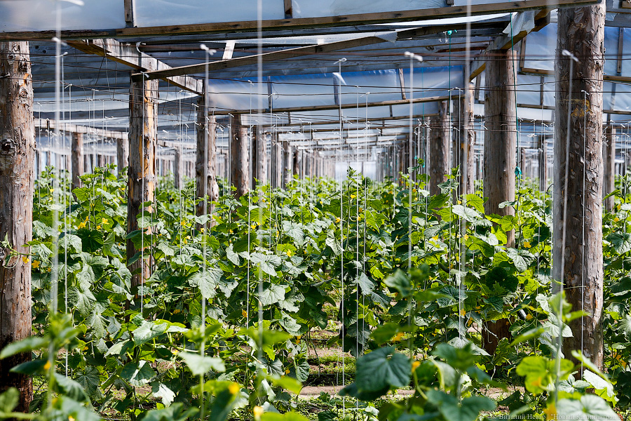 _NEV8694.jpg _NEV8694.jpg