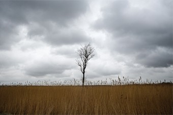 zemlya_7.jpg