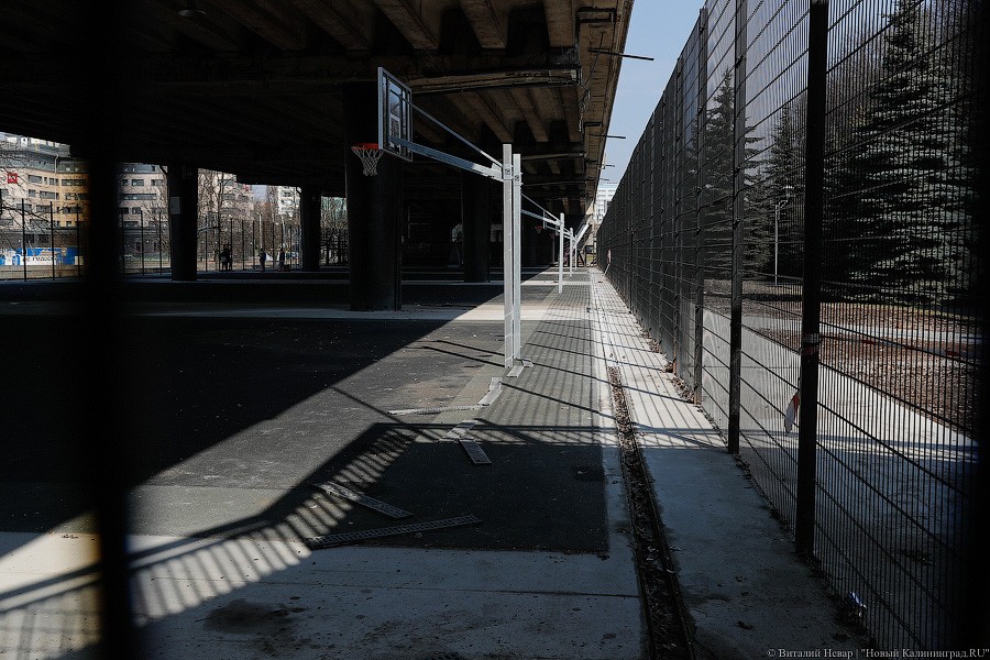 _NEV5439.jpg _NEV5439.jpg