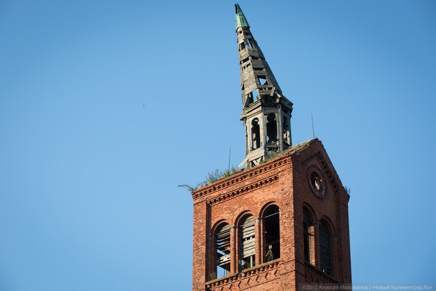 1ae378b4f05ad9ae7e190d593df3ba0e (1).jpg 1ae378b4f05ad9ae7e190d593df3ba0e (1).jpg