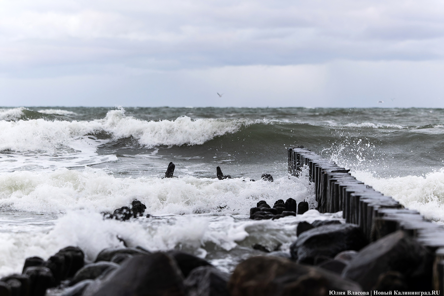 2024.12 пионерск, пионерский курорт, волнорезы, шторм, море 47.JPG