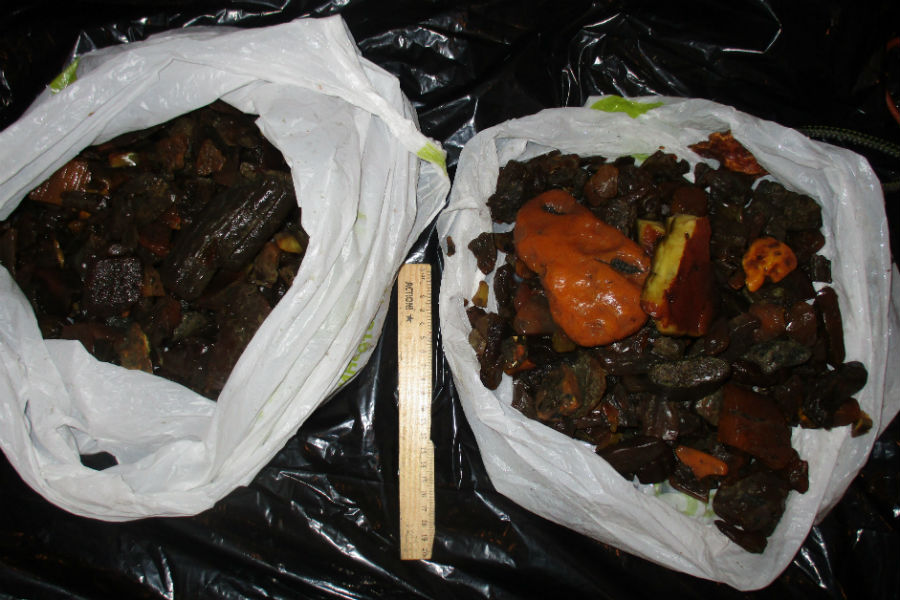 IMG_0681.jpg IMG_0681.jpg