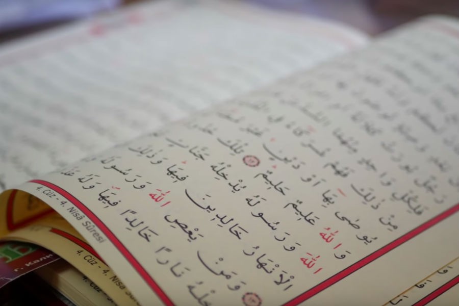 KL_057.jpg KL_057.jpg