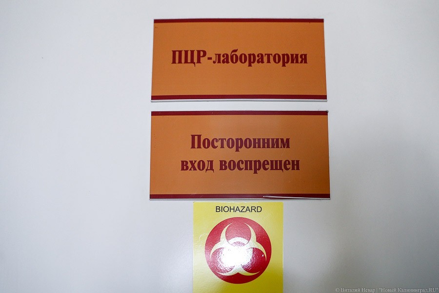 _NEV2873.jpg _NEV2873.jpg