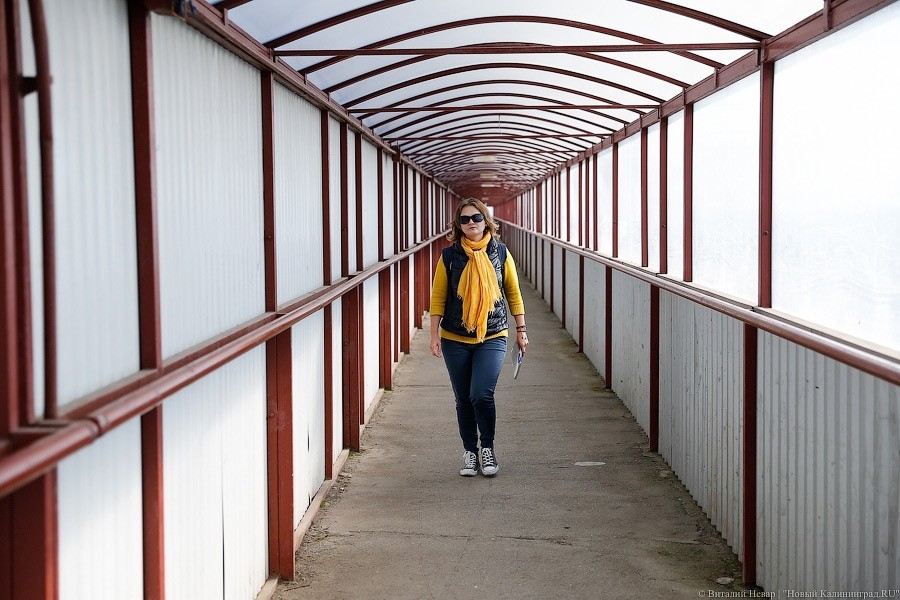 _NEV5070.jpg _NEV5070.jpg