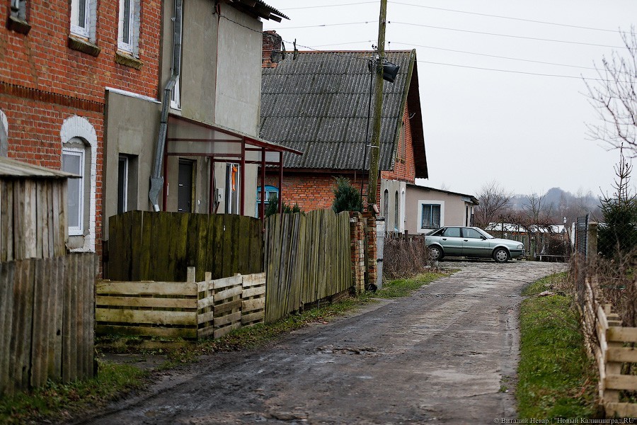 _NEV7951.jpg _NEV7951.jpg