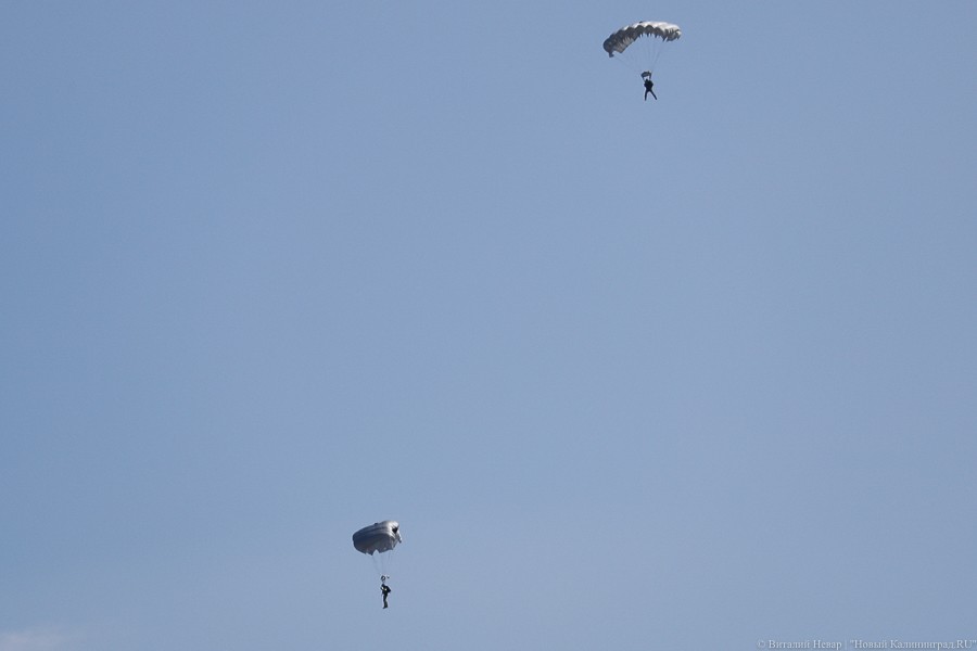 _NEV4208.jpg _NEV4208.jpg