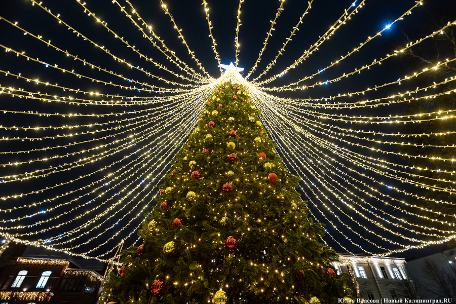 2023.12 зеленоградск, новый год, украшение города, елка, елки 29.JPG