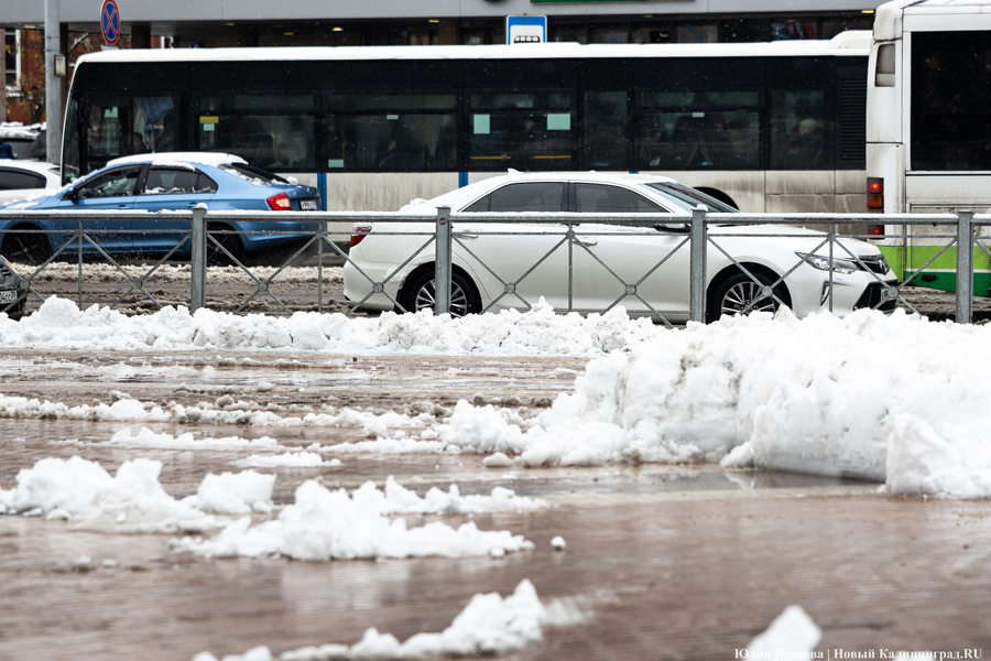 2024.11 снег, снегопад, гололед, слякоть 26.JPG