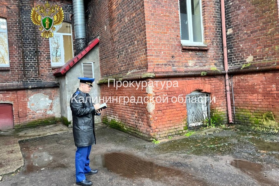 photo_2025-11-19_10-02-35 (1).jpg