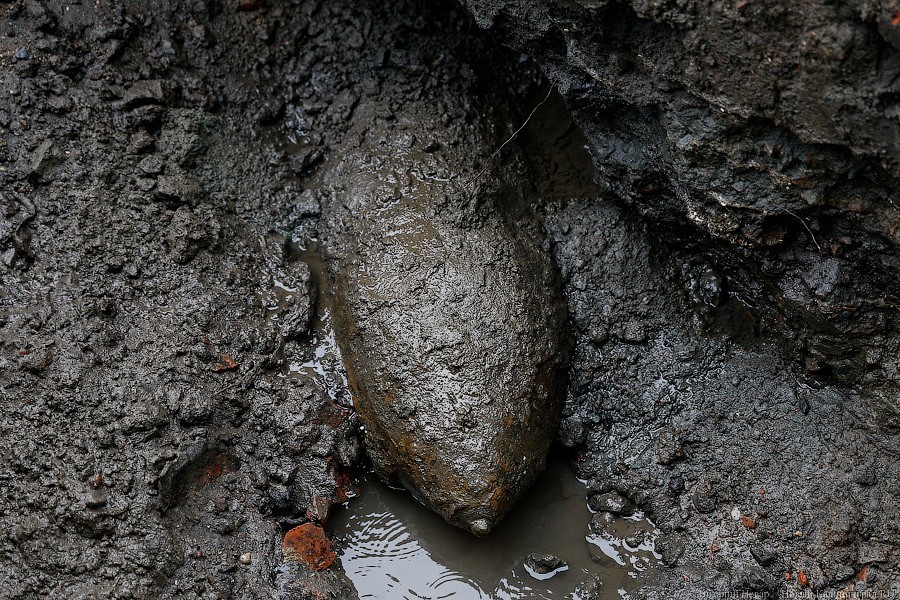 _NEV4782.jpg _NEV4782.jpg