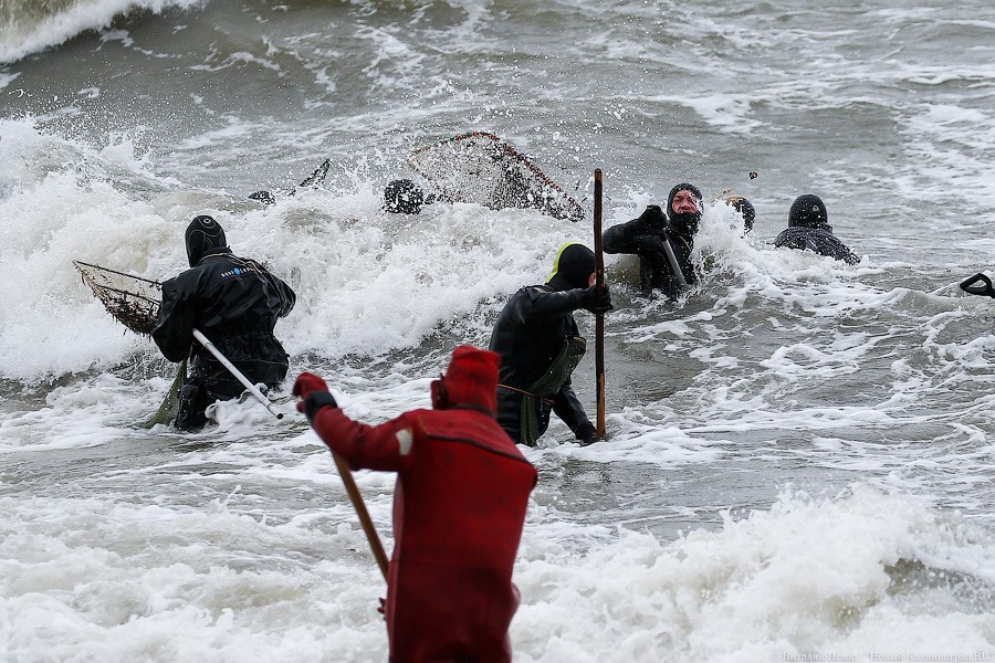 _NEV4528.jpg _NEV4528.jpg