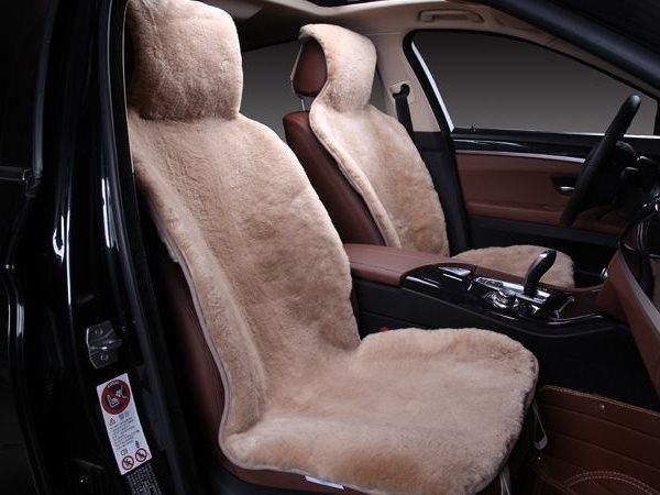 korotkij-vors-bolshij-razmer-avstraliya (1).jpg