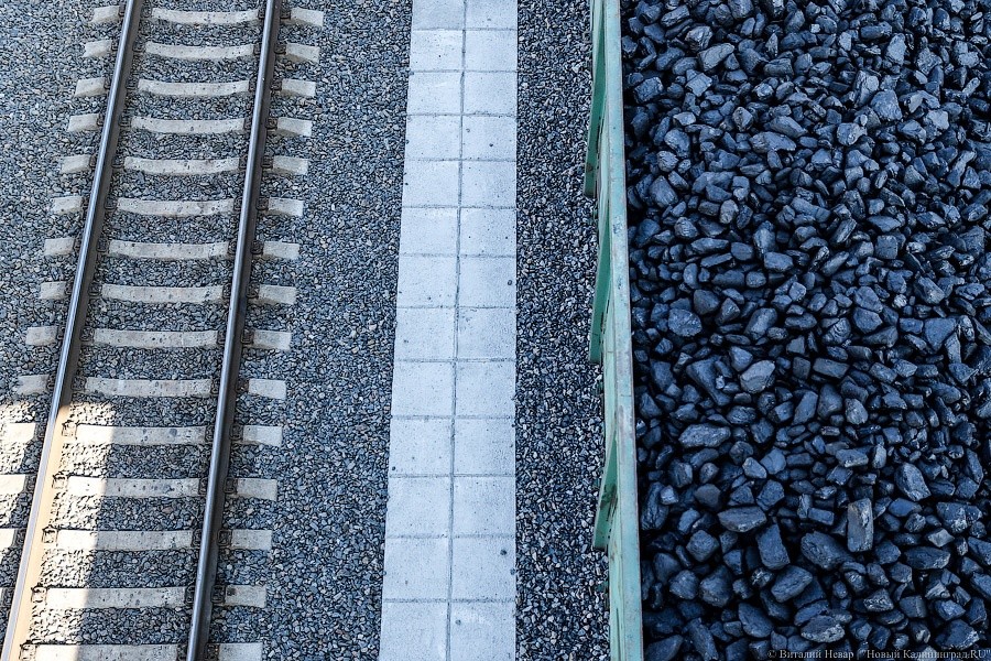 _NEV4990.jpg _NEV4990.jpg