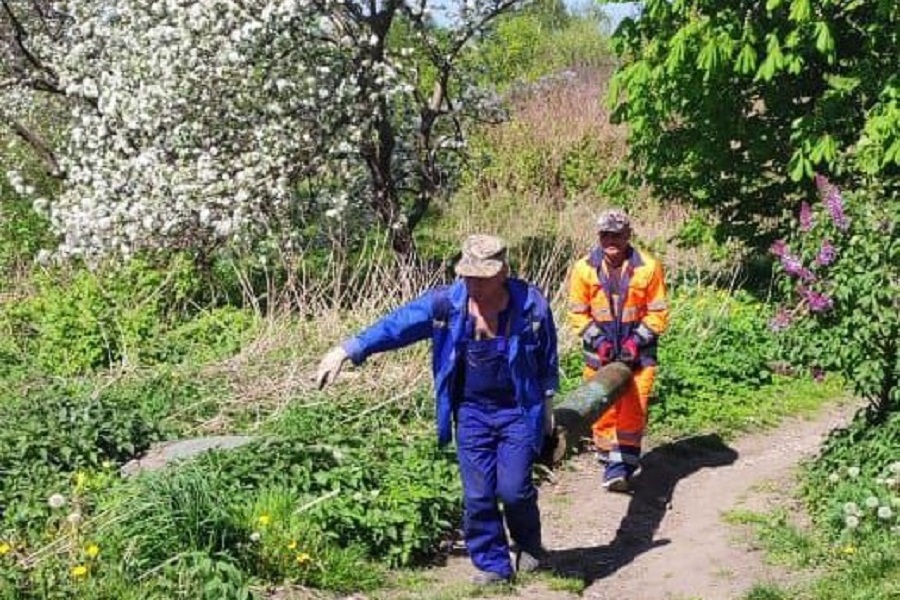 photo_2024-05-08_11-14-56 (1).jpg photo_2024-05-08_11-14-56 (1).jpg