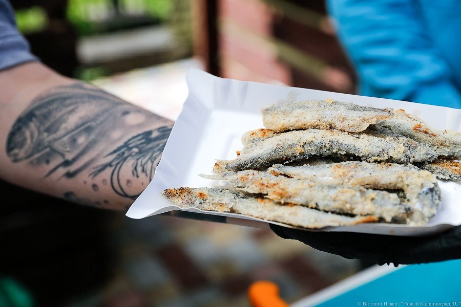 _NEV6568.jpg _NEV6568.jpg