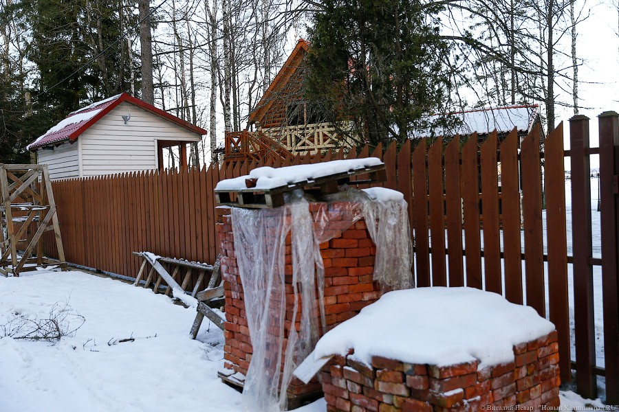 _NEV7799.jpg _NEV7799.jpg