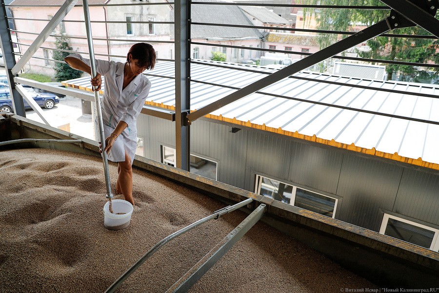 _NEV2428.jpg _NEV2428.jpg