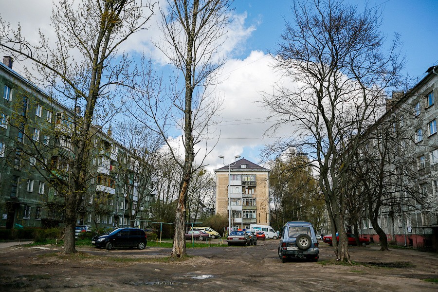 _NVV7852.jpg