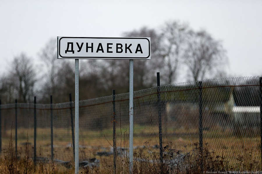 _NEV7942.jpg _NEV7942.jpg