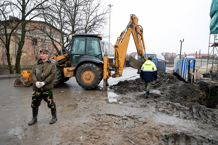 _NEV4815.jpg _NEV4815.jpg