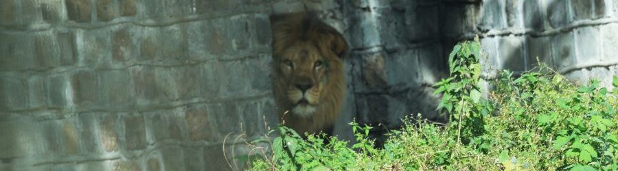 photo_2024-09-25_11-37-12 (1).jpg