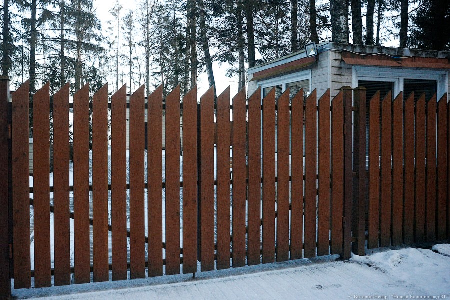 _NEV7794.jpg _NEV7794.jpg