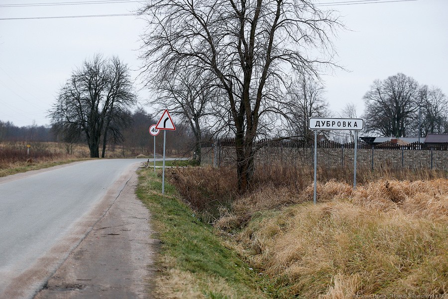 _NEV7935.jpg _NEV7935.jpg