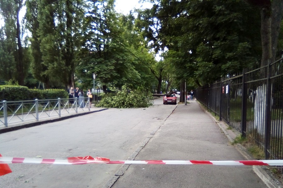 в1.jpg в1.jpg