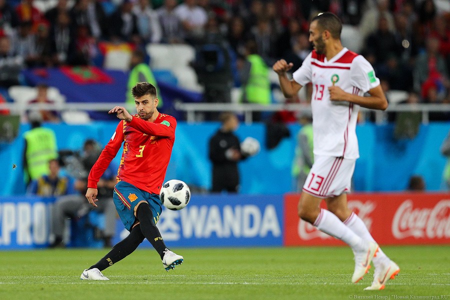 AM1I4223.jpg AM1I4223.jpg