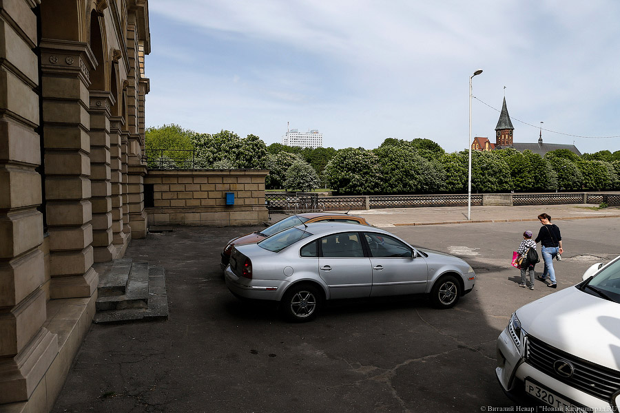 _NEV3192.jpg _NEV3192.jpg