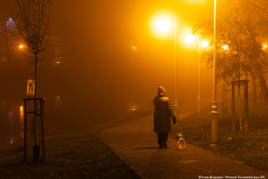 2024.11 ночь, туман, подсветка, вечер 08.JPG