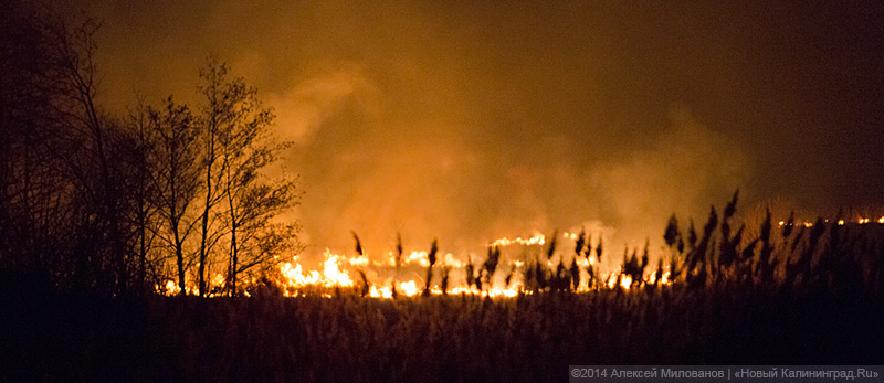 fire-2.jpg