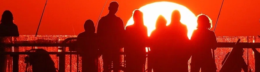 image_2023-01-24_17-50-17.jpg image_2023-01-24_17-50-17.jpg