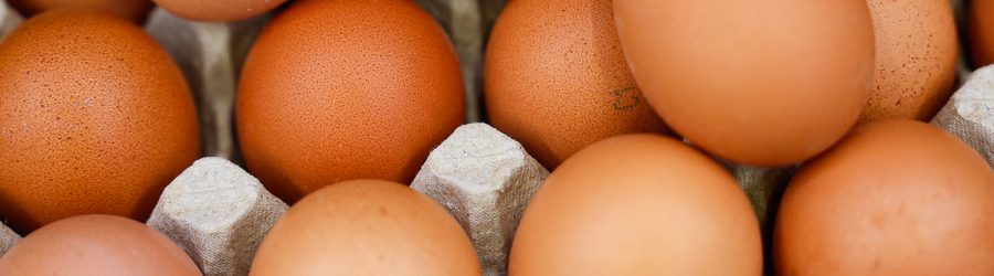 edf323e457d832a2c98bd597c7a7ae22_cr.jpg edf323e457d832a2c98bd597c7a7ae22_cr.jpg