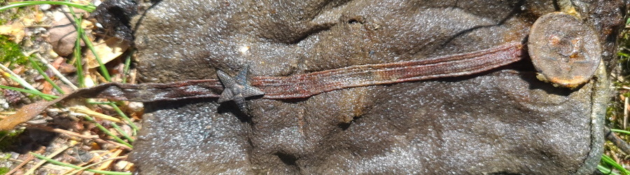 yymii62pf8uy4csj4z035rgpcf70perj (1).jpg