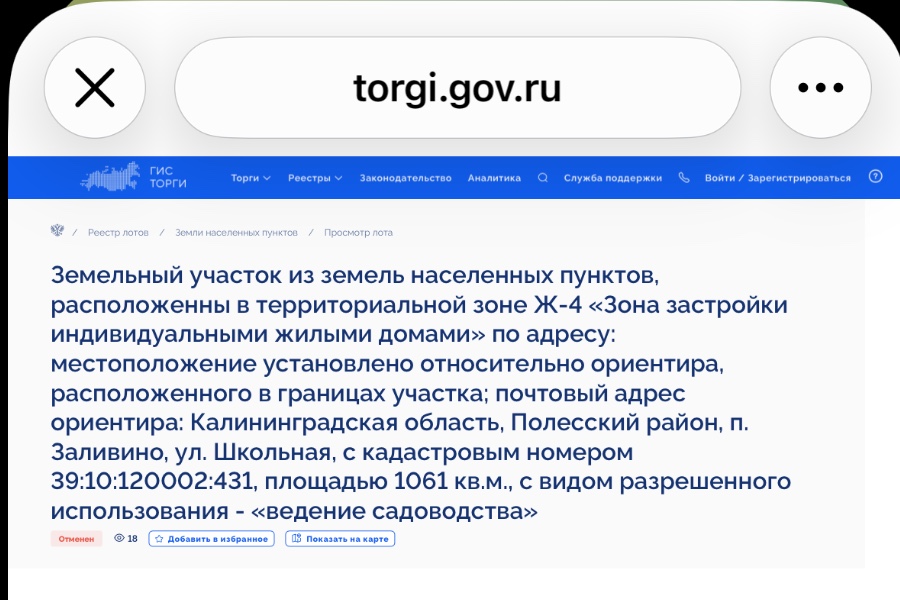 торги ру.jpg торги ру.jpg