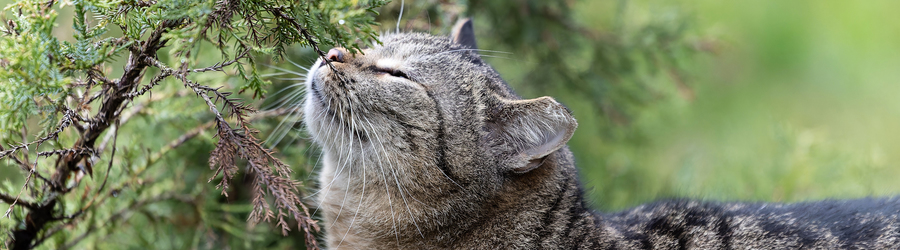 11e5df5d1qrckp0ab0kei4v1qch4slnz_cr.jpg 11e5df5d1qrckp0ab0kei4v1qch4slnz_cr.jpg