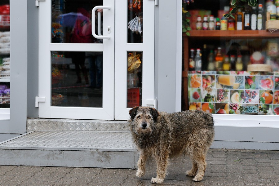 _NEV0706.jpg _NEV0706.jpg